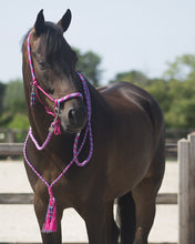 Load image into Gallery viewer, QHP Rope Halter Combi
