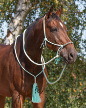 Load image into Gallery viewer, QHP Rope Halter Combi