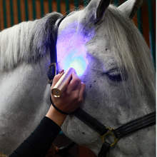 Load image into Gallery viewer, ProLight Therapy Pen