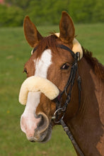 Load image into Gallery viewer, Noseband Covers - 45% OFF