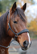 Load image into Gallery viewer, EDIX Chin Crossed Rose Bitless Bridle
