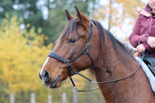 Load image into Gallery viewer, EDIX Chin Crossed Rose Bitless Bridle