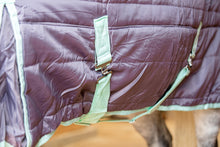 Load image into Gallery viewer, 300g Heavyweight Stable Combo rug with Neck
