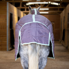 Load image into Gallery viewer, 300g Heavyweight Stable Combo rug with Neck