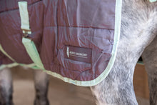 Load image into Gallery viewer, 300g Heavyweight Stable Combo rug with Neck