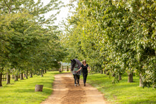 Load image into Gallery viewer, 100g Lightweight Turnout Combo rug with Neck