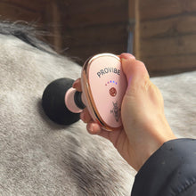 Load image into Gallery viewer, ProVibe Mini Massager