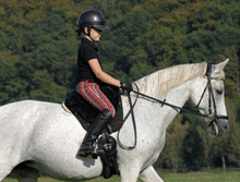 Load image into Gallery viewer, Shetland size Iberica PLUS sheepskin Bareback pad. Werner Christ sheepskin saddles from Horsedream UK