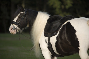 Werner Christ Iberica PLUS Bareback pad Sheepskin Saddles at Horse Dream UK