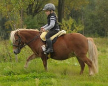Load image into Gallery viewer, Christ Shetland size Premium PLUS Sheepskin Bareback Riding Pad for small children