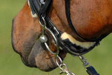 Load image into Gallery viewer, Horsedream Sheepskin Chin Guard