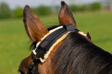 Load image into Gallery viewer, Horsedream Show Poll Guard