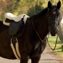 Load image into Gallery viewer, Werner Christ Lammfelle Sheepskin Girth, Numnah and Seat Saver