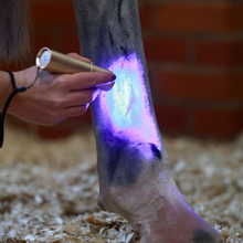 Load image into Gallery viewer, ProLight Therapy Pen