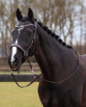 Load image into Gallery viewer, QHP Sunna Bitless Bridle