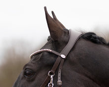 Load image into Gallery viewer, QHP Sunna Bitless Bridle