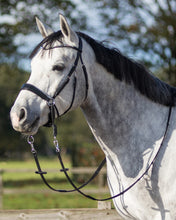 Load image into Gallery viewer, QHP Sunna Bitless Bridle