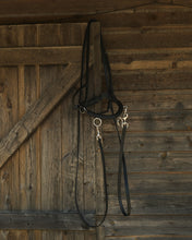 Load image into Gallery viewer, In-hand schooling reins