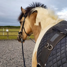 Load image into Gallery viewer, Leather long reins/lines