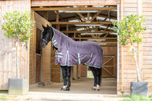 Load image into Gallery viewer, 200g Mediumweight Stable Combo rug with Neck