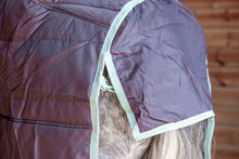 Load image into Gallery viewer, 300g Heavyweight Stable Combo rug with Neck