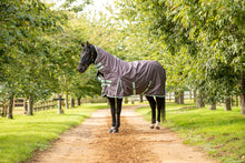 Load image into Gallery viewer, 100g Lightweight Turnout Combo rug with Neck