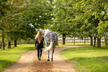 Load image into Gallery viewer, 350g Heavyweight Turnout Combo rug with Neck