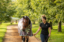 Load image into Gallery viewer, 200g Mediumweight Turnout rug with Detachable Neck