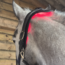 Load image into Gallery viewer, Prolight Poll Therapy