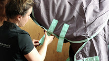 Load image into Gallery viewer, 200g Mediumweight Turnout rug with Detachable Neck