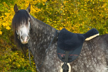 Load image into Gallery viewer, Horsedream Bareback Riding Pad - Basic PLUS manufactured by Christ Lammfelle