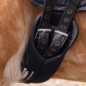 Barefoot Dressage Girth Stretch & Breath