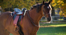 Load image into Gallery viewer, Endurance Saddle Pad - Half lined (5212) Also fits Cloud Bareback pad