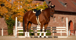 Sheepskin Half Pads with Border